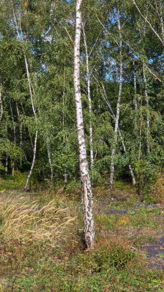 20260915_145950